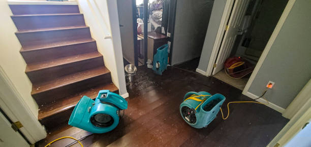Best Water damage restoration specialists  in Heath, OH