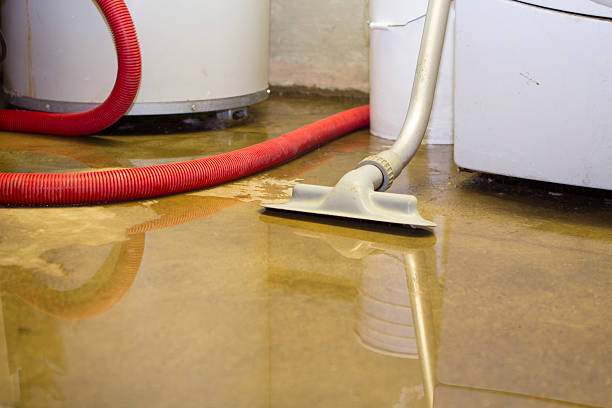 Best Water damage cleanup near me  in Heath, OH