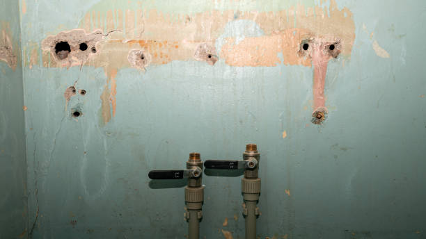 Best Ceiling water damage repair  in Heath, OH