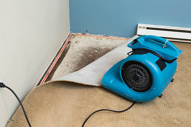 Best Local water damage restoration  in Heath, OH